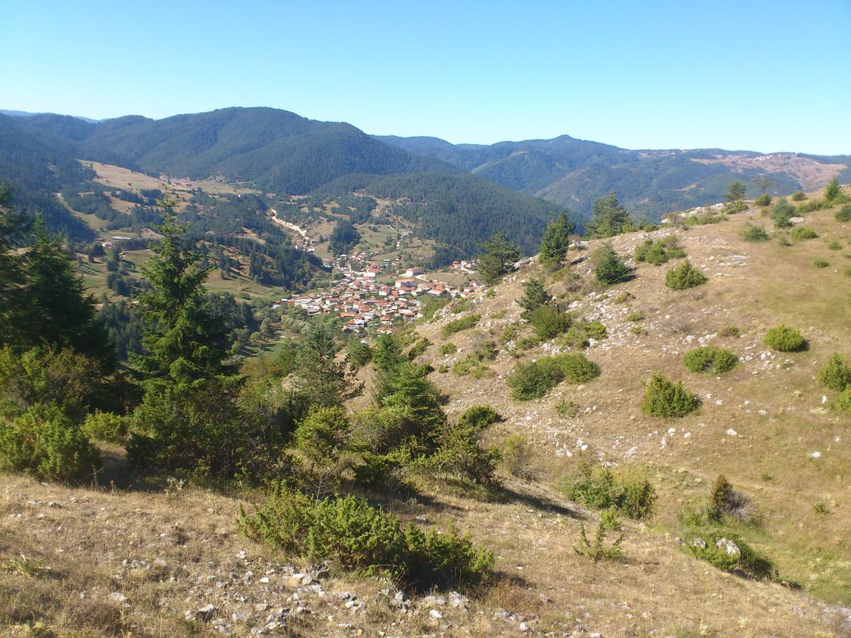 Yagodina Family Hotel Εξωτερικό φωτογραφία