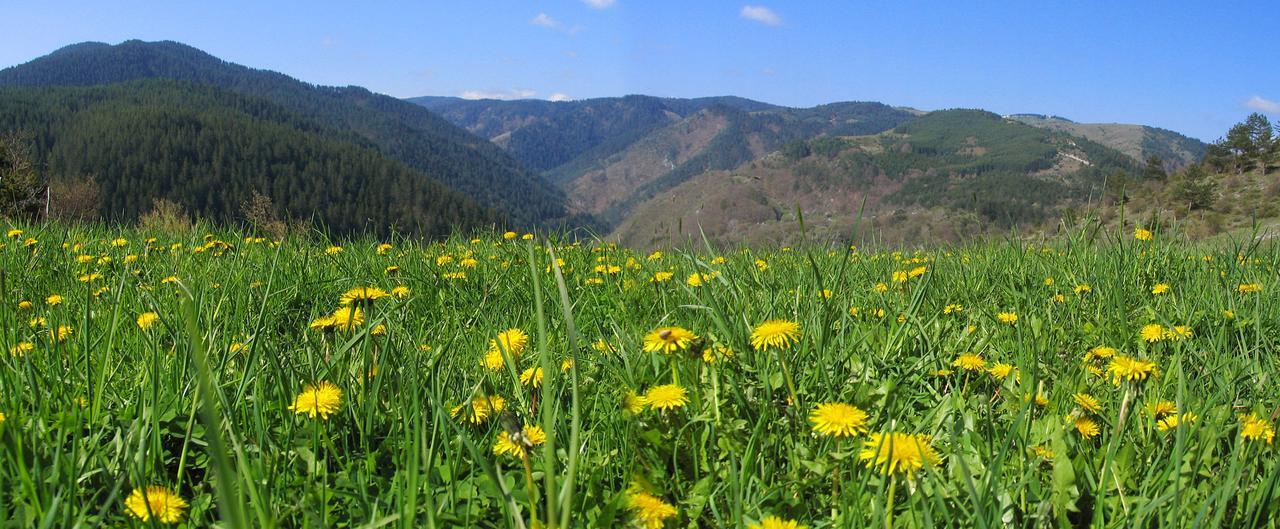 Yagodina Family Hotel Εξωτερικό φωτογραφία
