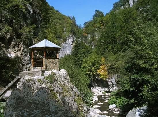 Yagodina Family Hotel Εξωτερικό φωτογραφία